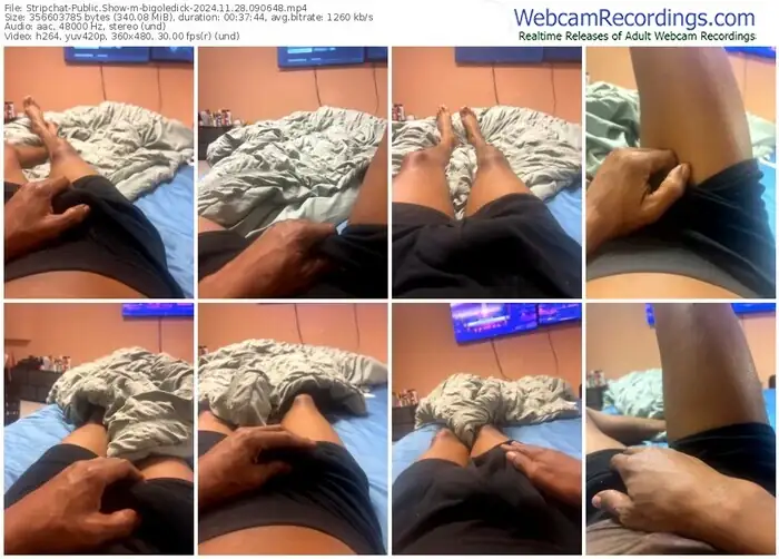 stripchat-bigoledick-11-28-2024-09-06-48