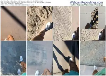 stripchat-klownman1-11-28-2024-21-55-53