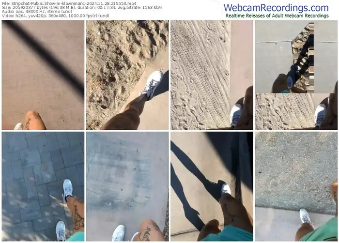 stripchat-klownman1-11-28-2024-21-55-53