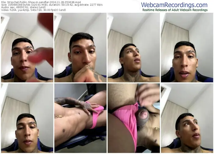 stripchat-sendfer-11-28-2024-05-36-38