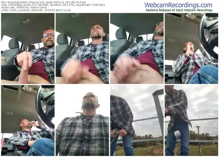 stripchat-tcb_ready-11-28-2024-13-51-33