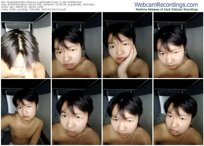 stripchat-xiaofeng86-11-28-2024-14-34-08