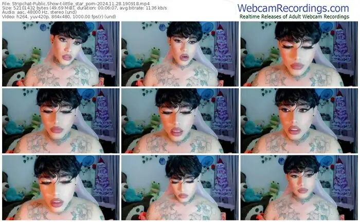 stripchat-little_star_porn-11-28-2024-19-09-18