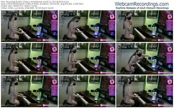 stripchat-artofsweet-11-29-2024-18-35-59