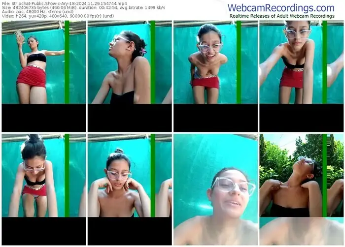 stripchat-ary-18-11-29-2024-15-47-44