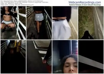 stripchat-brendajarol-11-29-2024-01-05-06