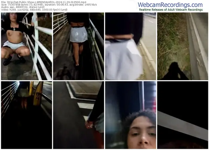 stripchat-brendajarol-11-29-2024-01-05-06