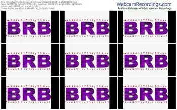 stripchat-cristinaandalex69-11-29-2024-00-10-21