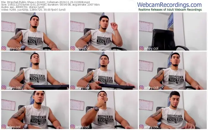 stripchat-dimitri_colleman-11-29-2024-11-06-08