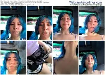 stripchat-gerallfoxxx-11-29-2024-16-44-20