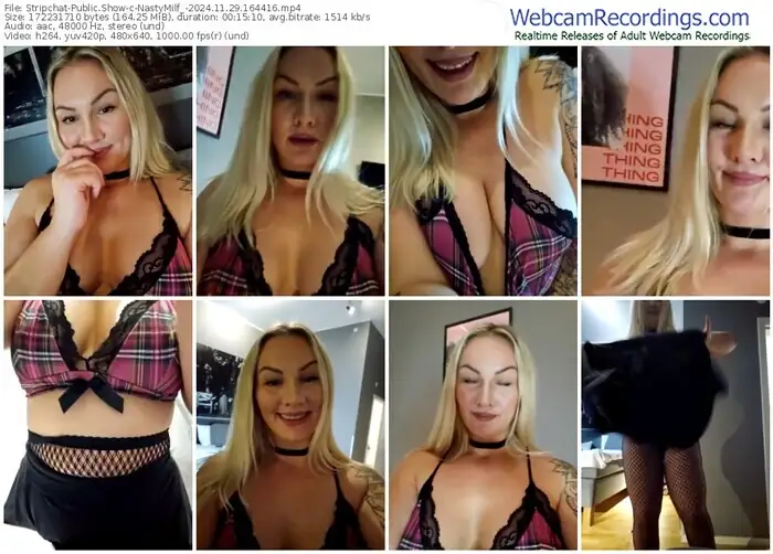 stripchat-nastymilf_-11-29-2024-16-44-16