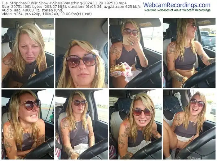 stripchat-sheissomething-11-29-2024-19-25-10