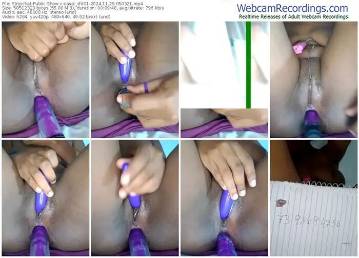 stripchat-casal_sfd01-11-29-2024-05-03-21