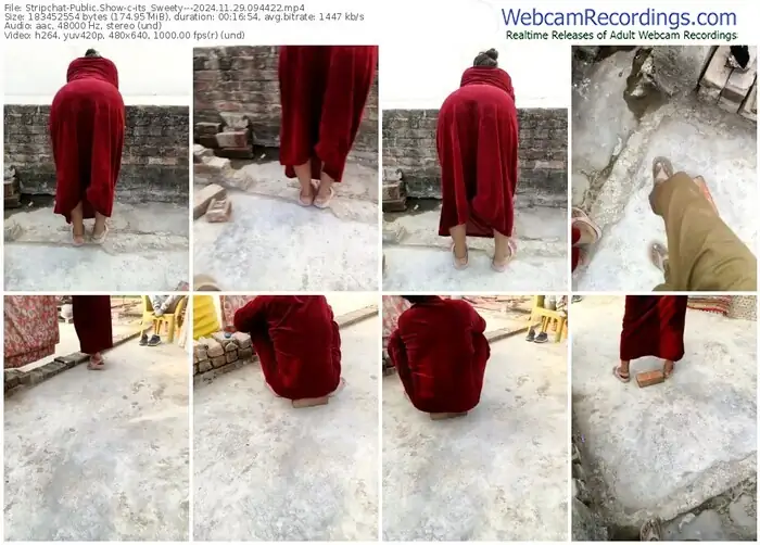 stripchat-its_sweety---11-29-2024-09-44-22