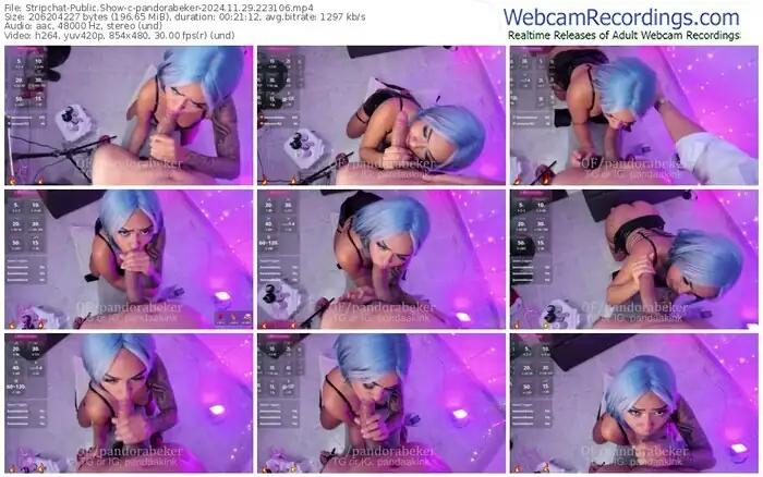 stripchat-pandorabeker-11-29-2024-22-31-06