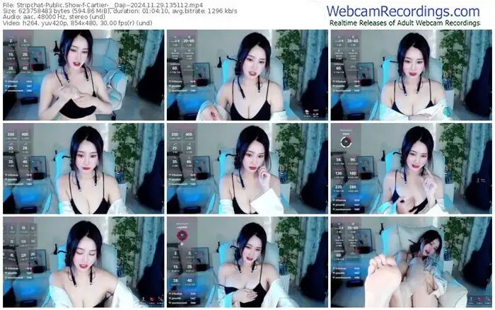 stripchat-cartier-__daji--11-29-2024-13-51-12