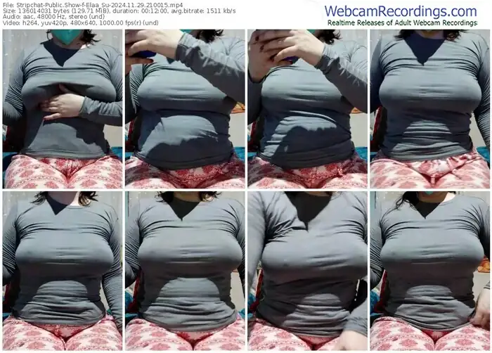 stripchat-elaa_su-11-29-2024-21-00-15