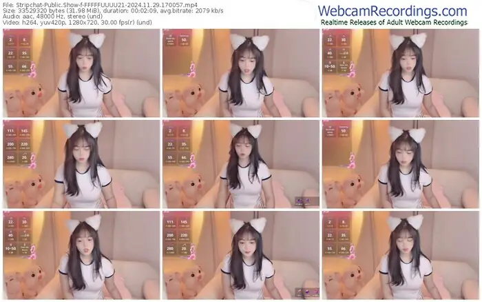 stripchat-fffffuuuu21-11-29-2024-17-00-57