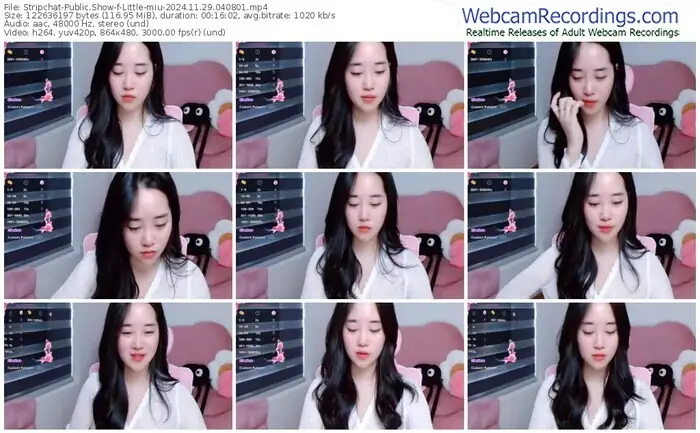 stripchat-little-miu-11-29-2024-04-08-01