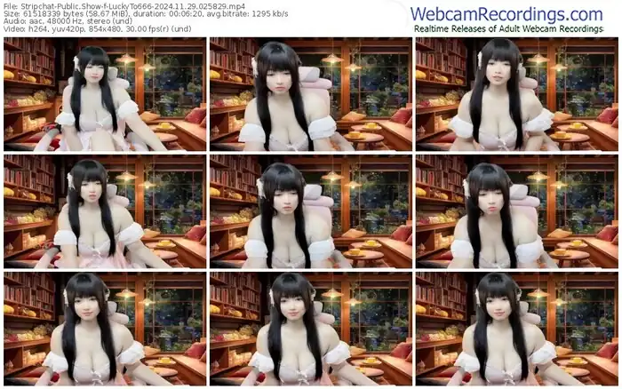 stripchat-luckyto666-11-29-2024-02-58-29