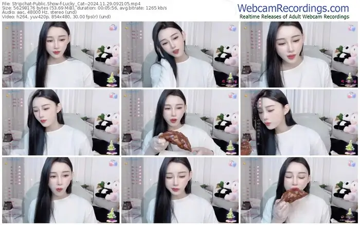 stripchat-lucky_cat--11-29-2024-09-21-05