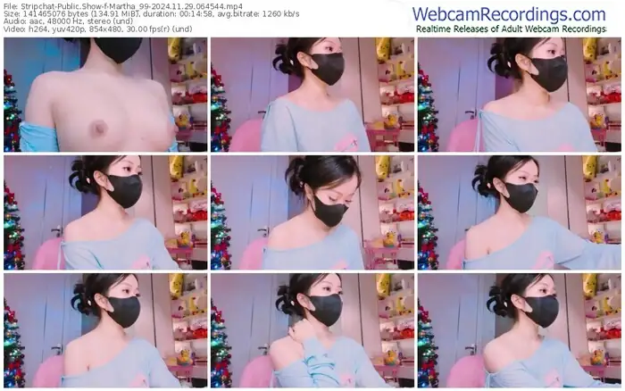 stripchat-martha_99-11-29-2024-06-45-44