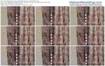 stripchat-mia826-11-29-2024-08-13-50