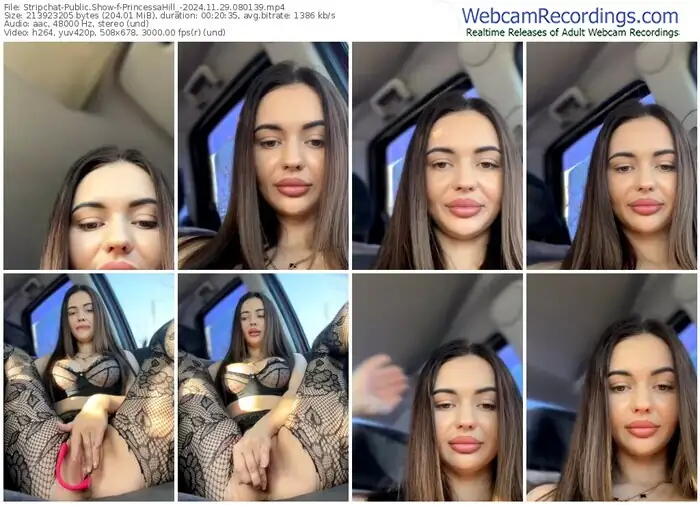 stripchat-princessahill_-11-29-2024-08-01-39