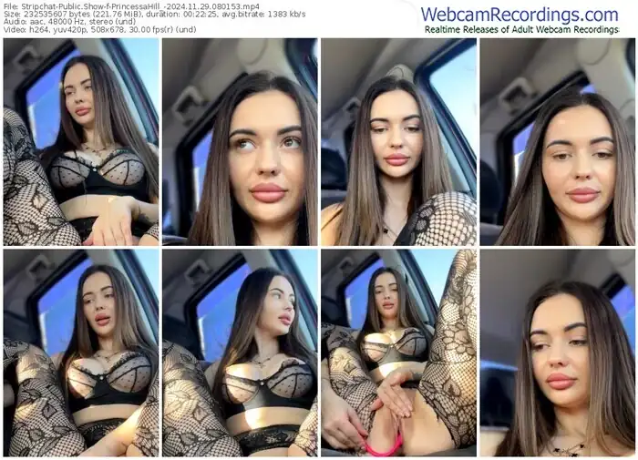 stripchat-princessahill_-11-29-2024-08-01-53