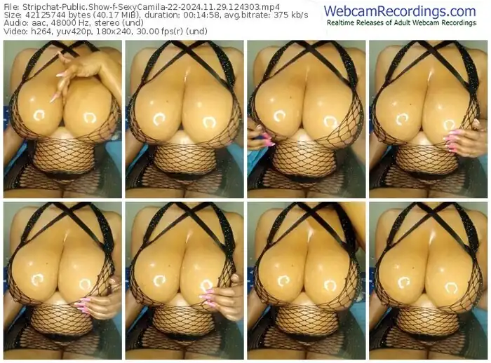 stripchat-sexycamila-22-11-29-2024-12-43-03