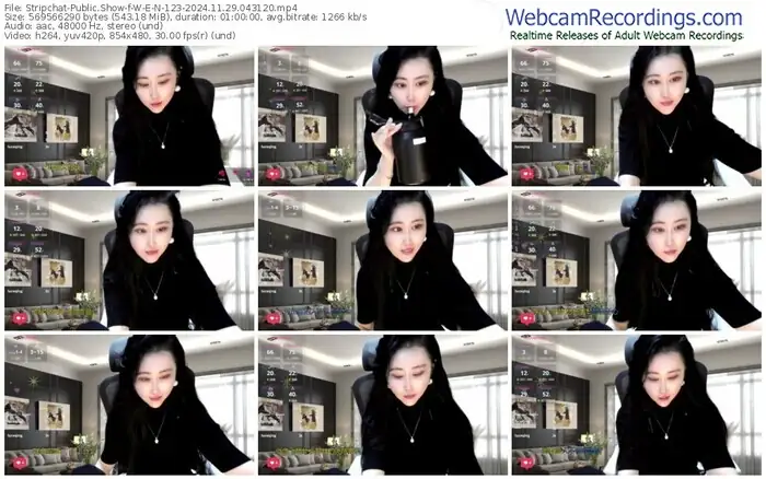 stripchat-w-e-n-123-11-29-2024-04-31-20