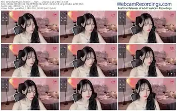 stripchat-___nari___-11-29-2024-23-37-10