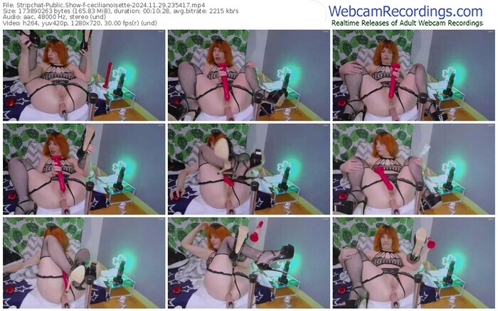 stripchat-cecilianoisette-11-29-2024-23-54-17