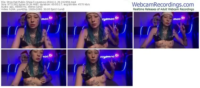 stripchat-coyemoo-11-29-2024-19-29-58
