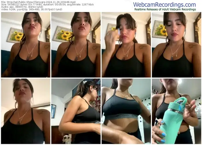 stripchat-fenixgre-11-29-2024-20-34-48