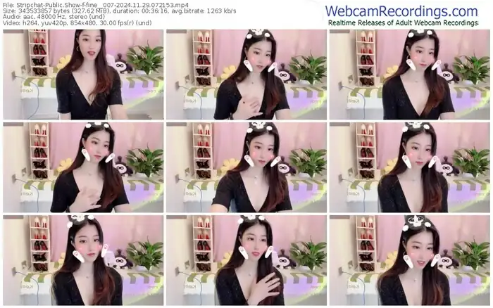 stripchat-fine__007-11-29-2024-07-21-53