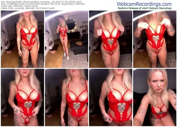 stripchat-josefine_svensson__02-11-29-2024-22-53-41