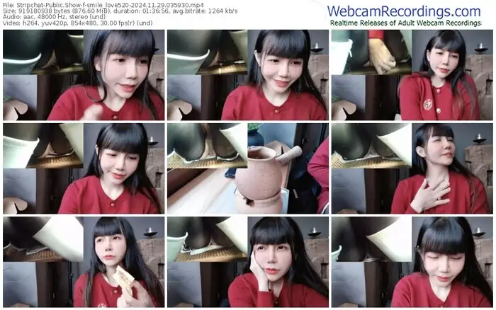 stripchat-smile_love520-11-29-2024-03-59-30