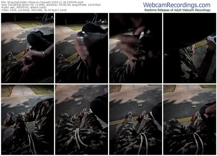 stripchat-ctoned2-11-29-2024-03-32-45