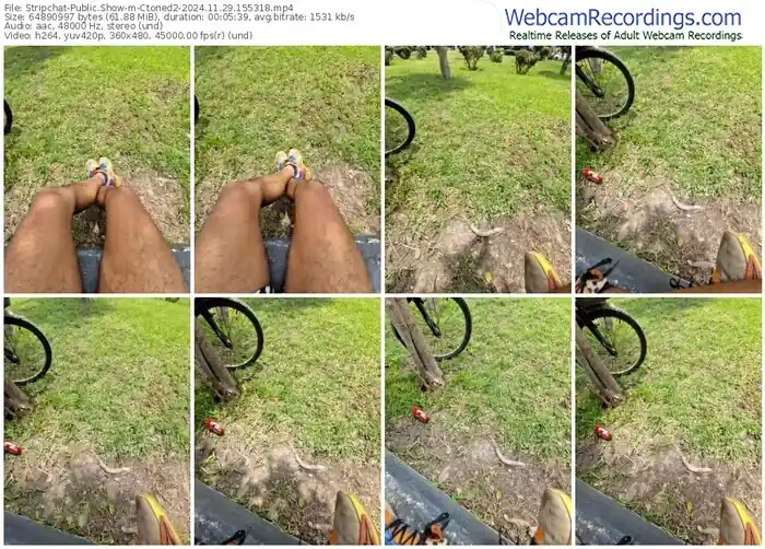 stripchat-ctoned2-11-29-2024-15-53-18