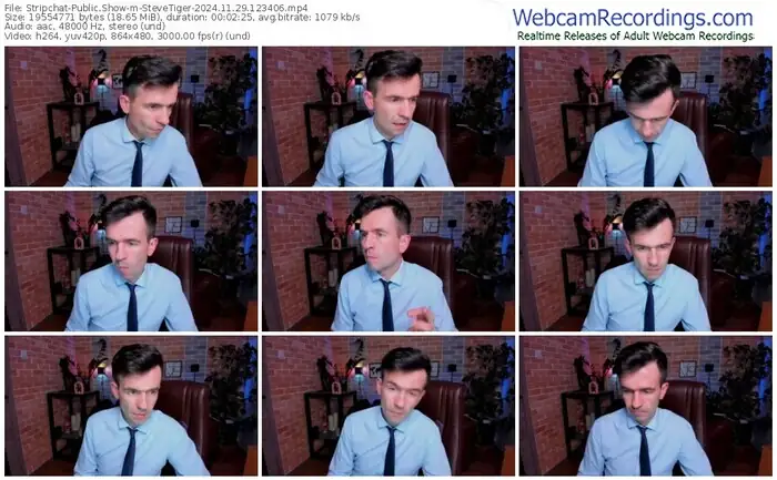 stripchat-stevetiger-11-29-2024-12-34-06
