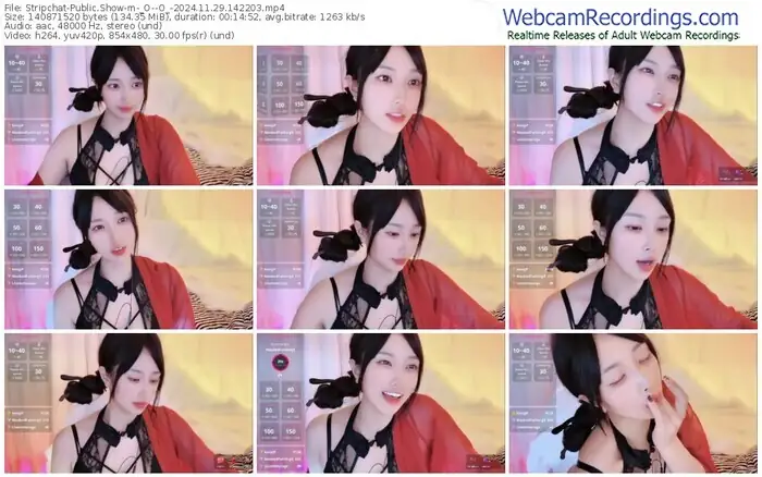 stripchat-_o--o_-11-29-2024-14-22-03