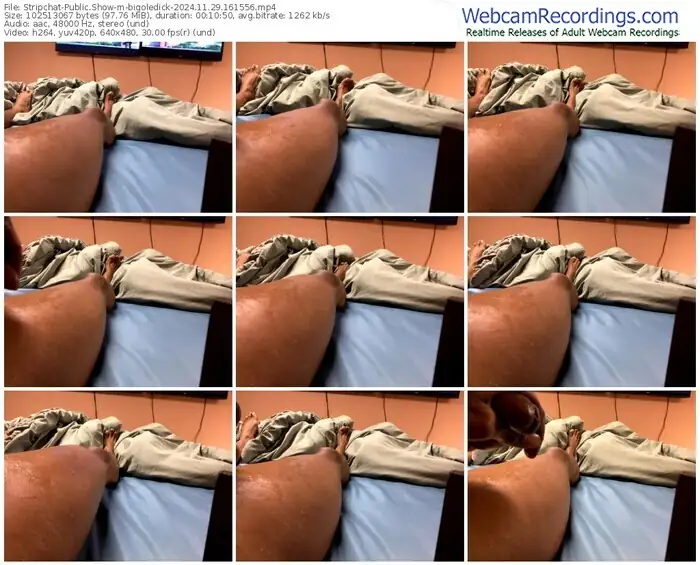 stripchat-bigoledick-11-29-2024-16-15-56