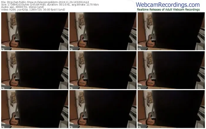 stripchat-falacomigobbzin-11-29-2024-14-32-00