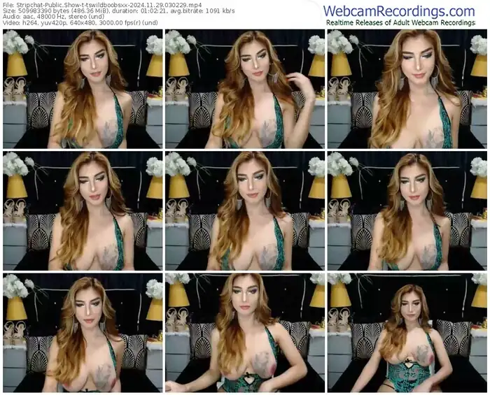 stripchat-tswildboobsxx-11-29-2024-03-02-29