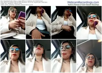 stripchat-cata_office-12-11-30-2024-19-42-06