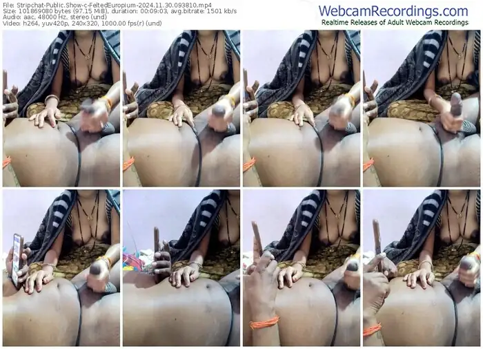 stripchat-feltedeuropium-11-30-2024-09-38-10