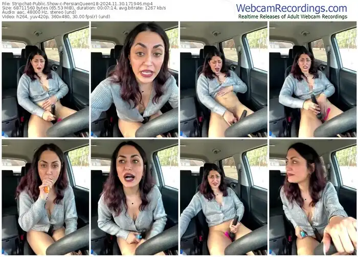 stripchat-persianqueen18-11-30-2024-17-19-46