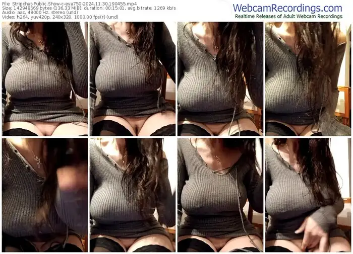 stripchat-eva750-11-30-2024-19-04-55