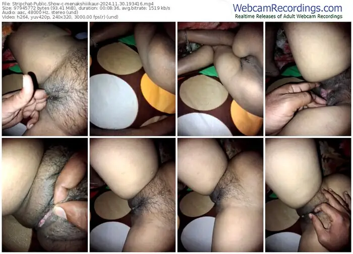 stripchat-menakshiiikaur-11-30-2024-19-34-16